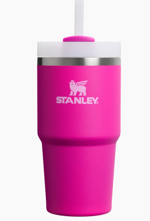 Stanley Quencher 20 Oz 0.59 Litre Lila Termos