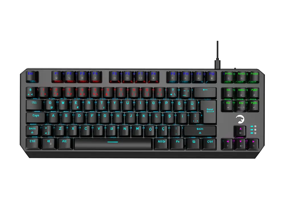 Gamepower Overlord Mekanik Mavi Switch Türkçe Q 88 Tuş USB Oyuncu Klavyesi