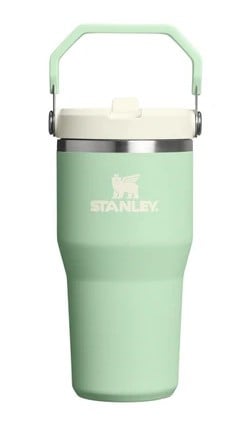 Stanley İceflow Flip Straw Tumbler 590ml Pistachio