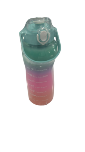Renkli Su Şişesi 2 Litre Ag-022