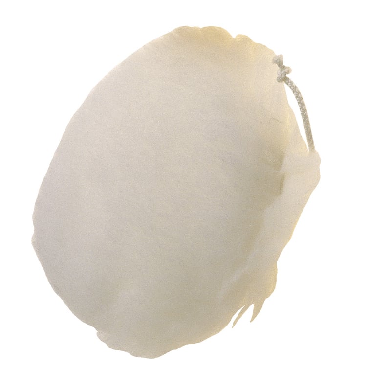 Pg Kuzu Yünü Cila Başlığı 140Mm