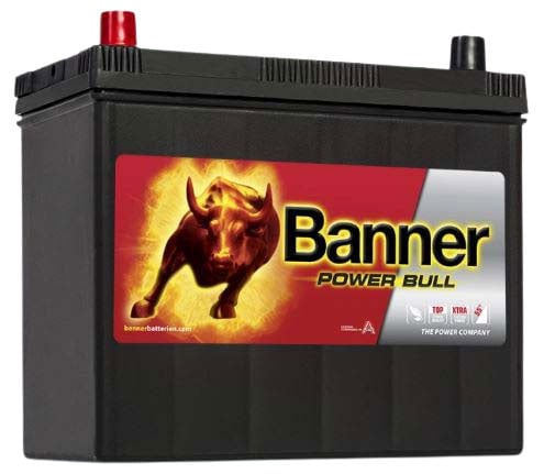 Banner Power Bull P4524 45Amper