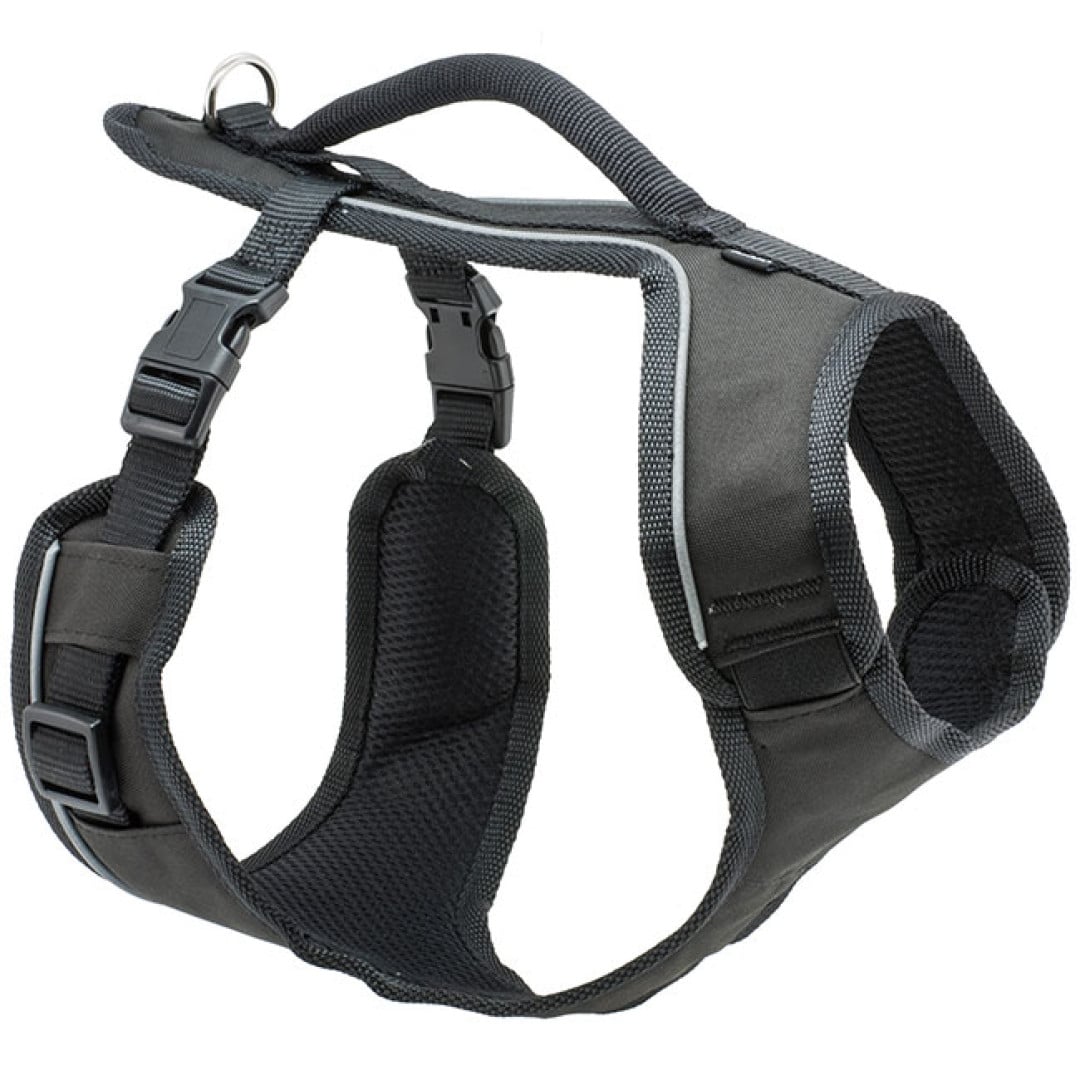 Petsafe Easysport Harness M Siyah