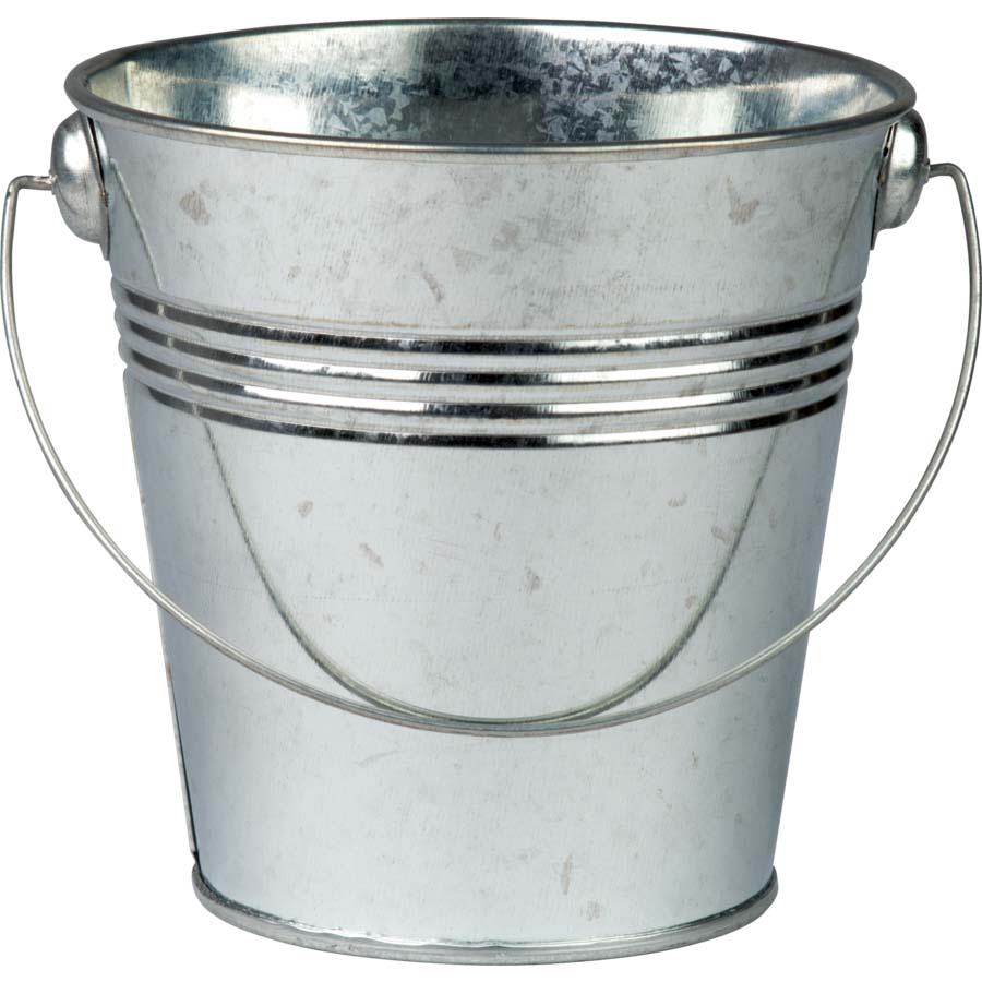 Champion Galvanizli Kova 12L