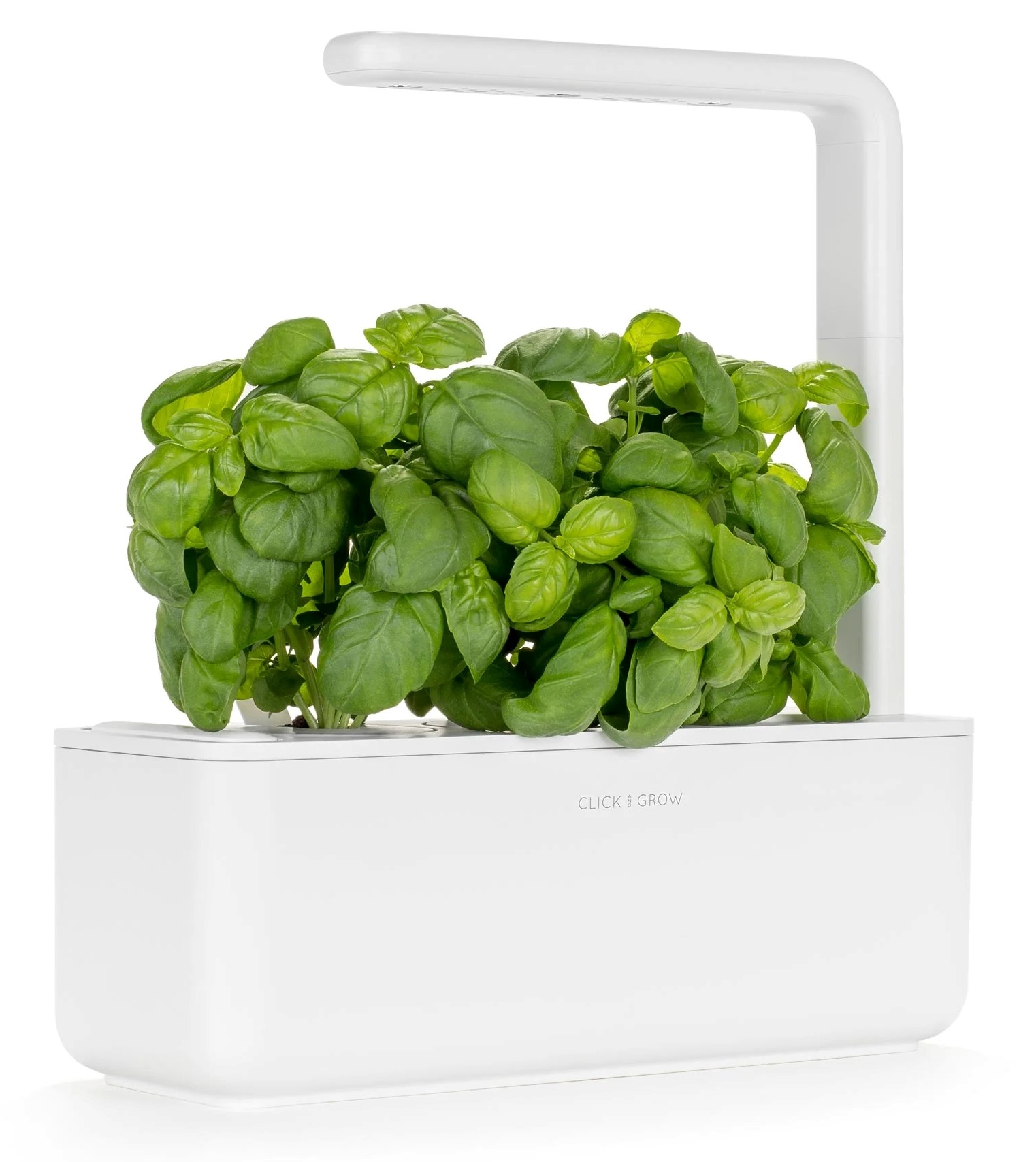 Click & Grow Sgs1Uni Smart Garden 3 Başlangıç Seti 3 Fesleğen Kapsülü ile 30X12Cm Beyaz