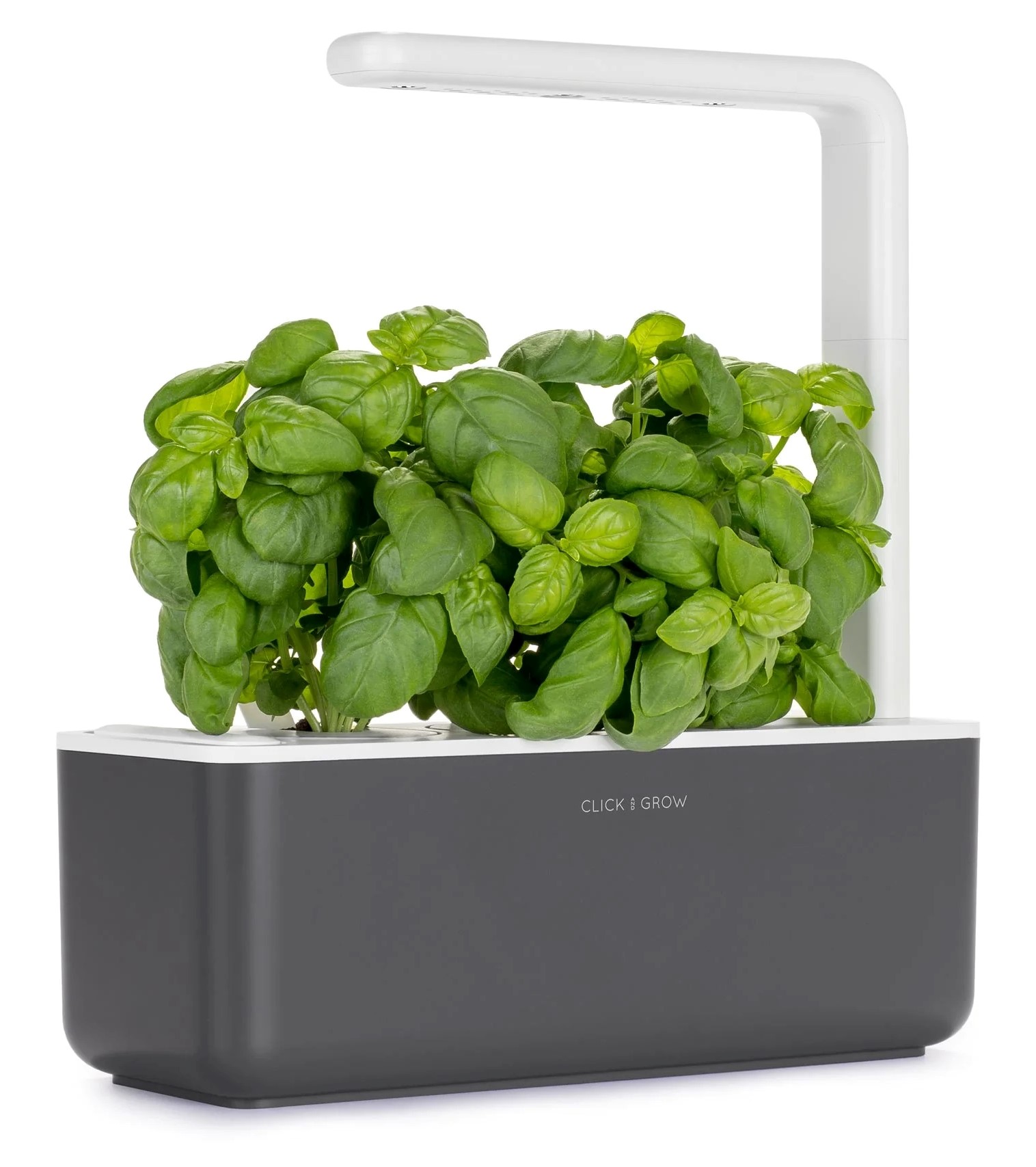 Click & Grow Sgs8Uni Smart Garden 3 Başlangıç Seti 3 Fesleğen Kapsüllü 30X12Cm Koyu Gri