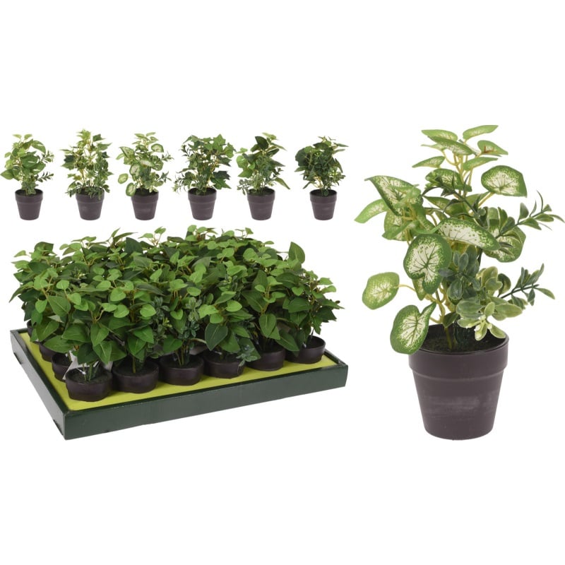 Siyah Saksıda Bitki 20Cm - Karışık Tasarımlar