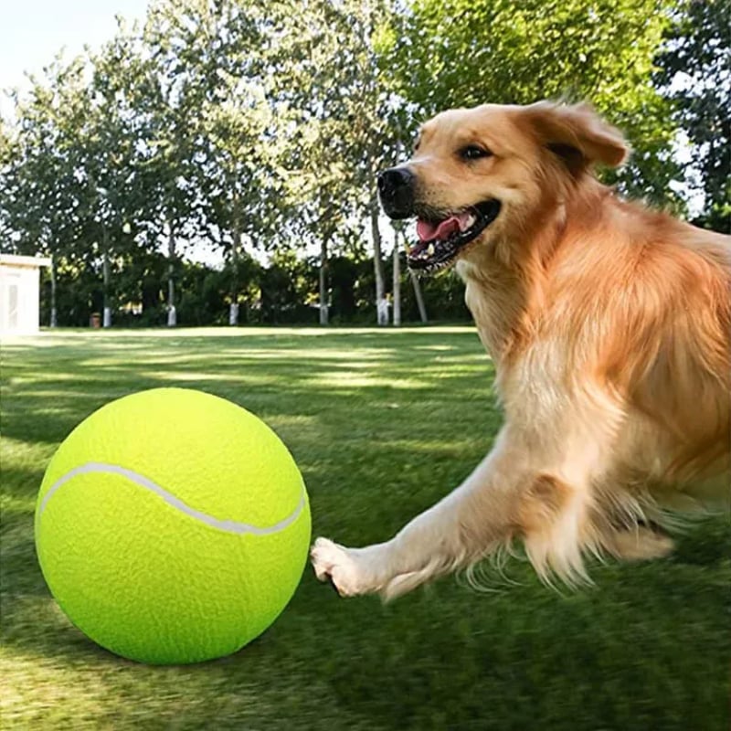 Ideaplus Evcil Hayvanlar İçin Tenis Topu
