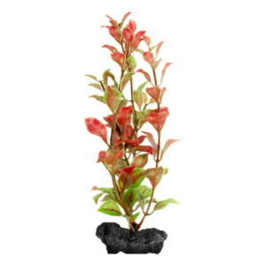 Tetra Bitki – Rea Ludwigia L 36cm