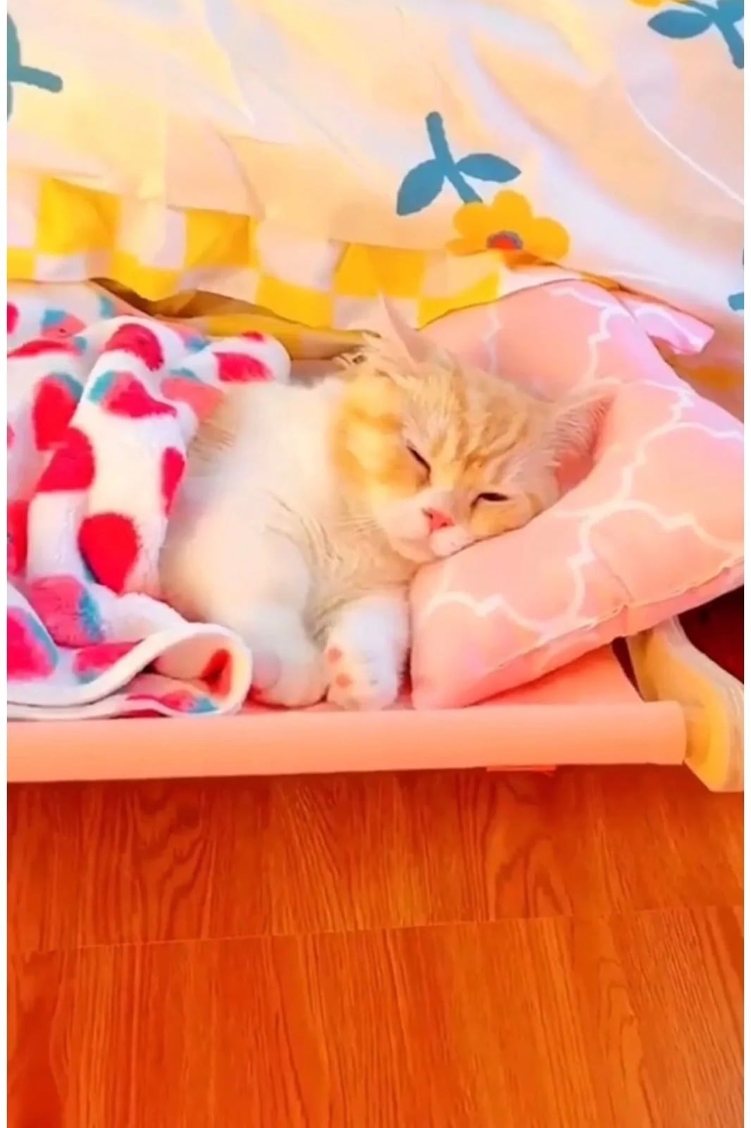 Kedi Dinlenme Hamağı