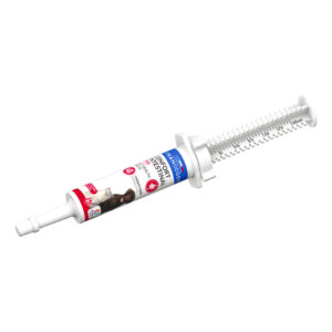 FRANCODEX - Kedi/Köpek Konforu Bağırsak Ağız Pasti Şırınga 30ml