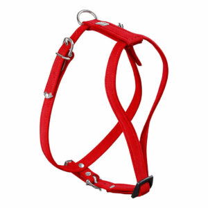 Deri Harness Softie 0.9cm, 24-33cm Kırmızı