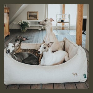 Sofa Livingston M 80x60cm Bej