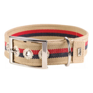 Yaka Yeni Orleans Çizgili Bej 50-60cm