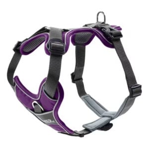Harness Divo M 56-73 Mor/Gri