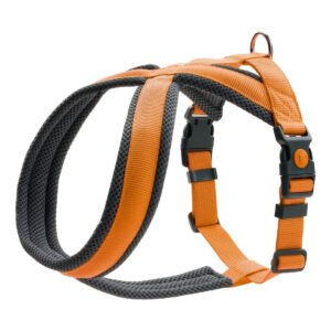 Harness London Comfort XS-S 39-47cm Turuncu