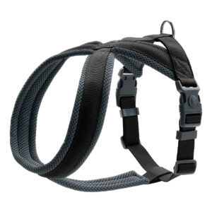 Harness London Comfort L/1 68-91cm Siyah