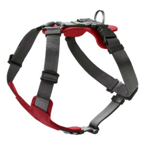 Deri Harness Aalborg 38-51 XS/S Kırmızı/Gri
