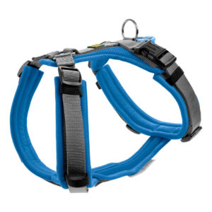 Maldon Harness Mavi/Gri 34-49cm XS