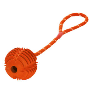 DT Diş Topu İp ile Turuncu 40cm