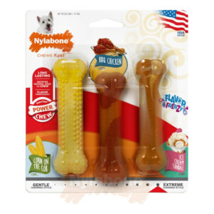 Nylabone Çeşit Paketi Yaz Barbekü