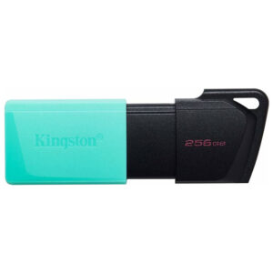 Kingston Exodia M DTXM/256GB Siyah/Mavi 256GB USB 3.2 Memory Stick