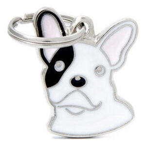 Arkadaşlar Beyaz Fransız Bulldog MF24WHITE