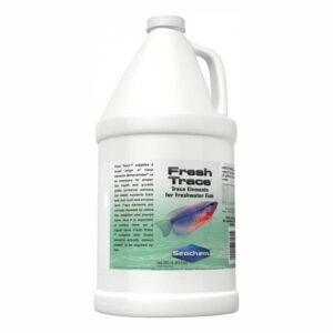 Fresh Trace 4L