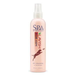ERKEKLER İÇİN COLOGNE SPREY SPA 236ml