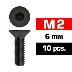 M2x6mm FLAT HEAD SCREWS (10 pcs)