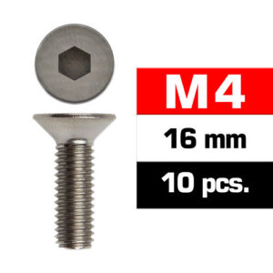M4X16MM DÜZ KAFALI VIDA (10 ADET)