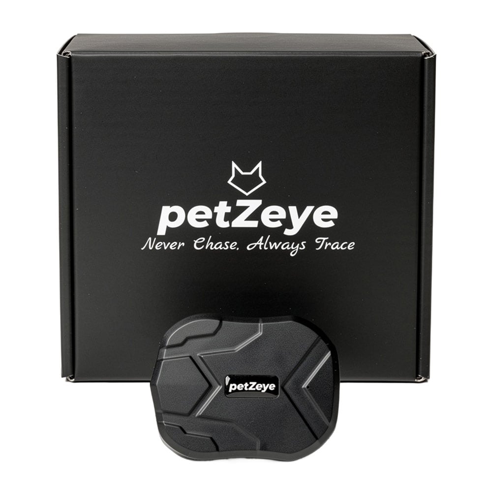 Yaşlılar için PETZEYE 905 Mini 2G Siyah Takip Sistemi