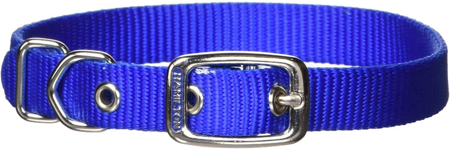 Hamilton Dd 1'''D/T Collar Blue 22