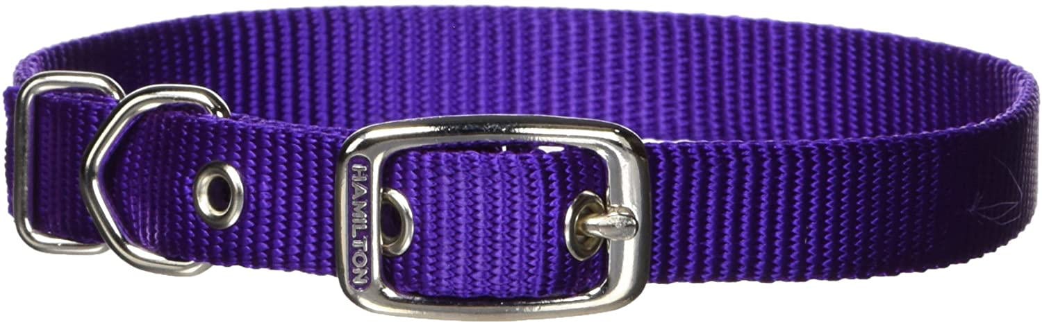 Hamilton Dd 1'' D/T Collar Purple 24