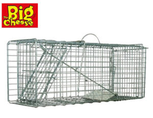 Big Cheese Hayvan Kafesi Tuzak 67X27X28Cm