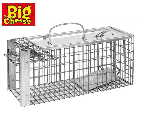 Big Cheese Kafes Tuzağı 36X14X16Cm