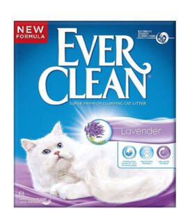 Ever Clean Kedi Kum Lavanta 6L