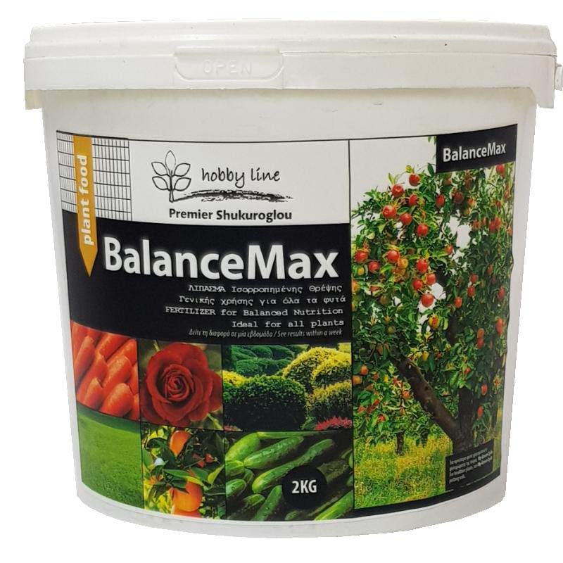 Balance Max Gübre 12-12-17+Te 2Kg