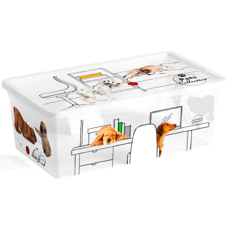 Kis Pets C-Box Saklama Kutusu Xs 6L 33,5X19Xh12Cm