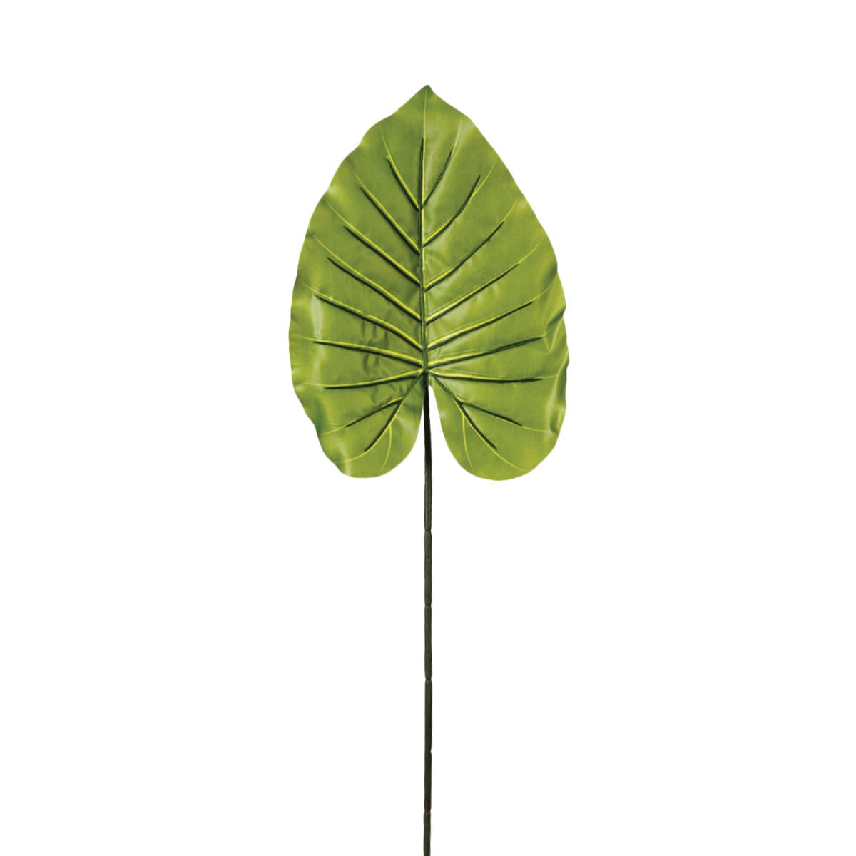 Split Philo Sap H90Cm 2 Farklı Tasarım