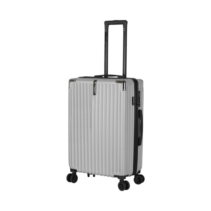 Artisti Italiani Luggage Tokyo 24" - Gümüş