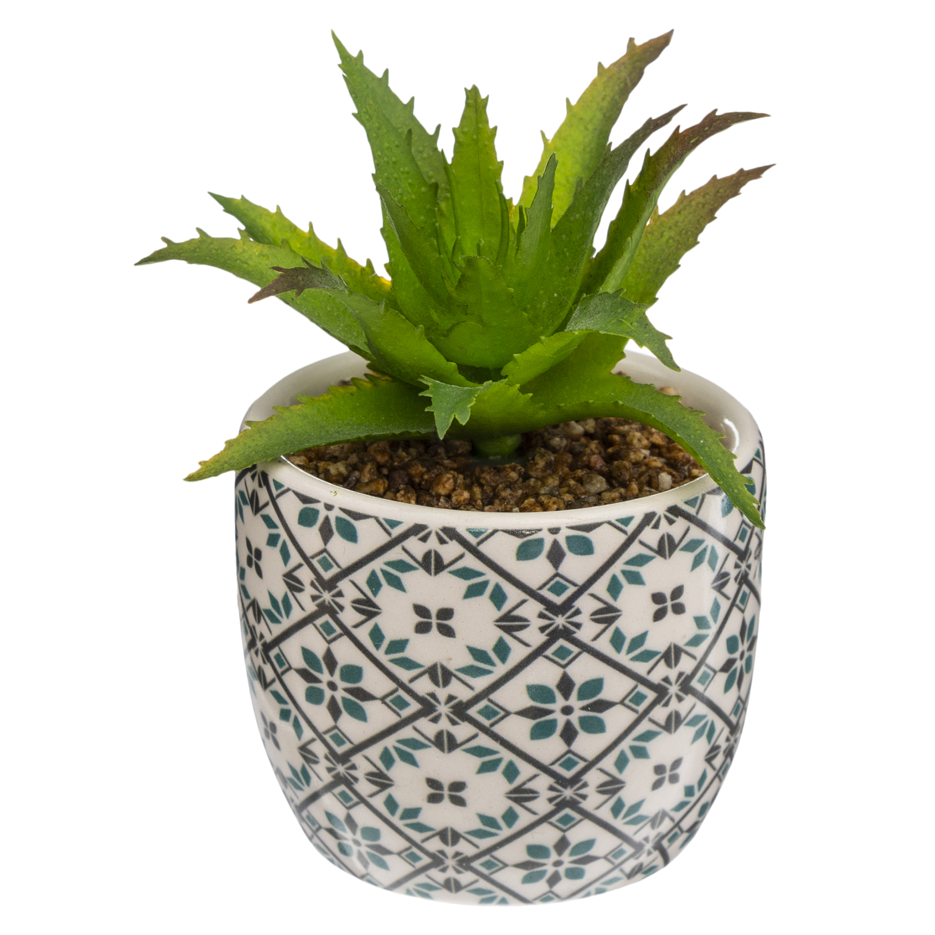 Baskılı Seramik Saksılı Bitki D5.5Cm 4 Farklı Tasarım