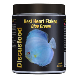 Discusfood - En İyi Kalp Pul Buz Rüyası 65g