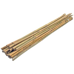 Bambu Destek Çubuğu 295 cm