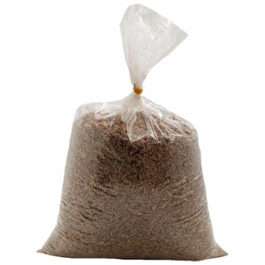 Çim Tohumu Festuca 1Kg