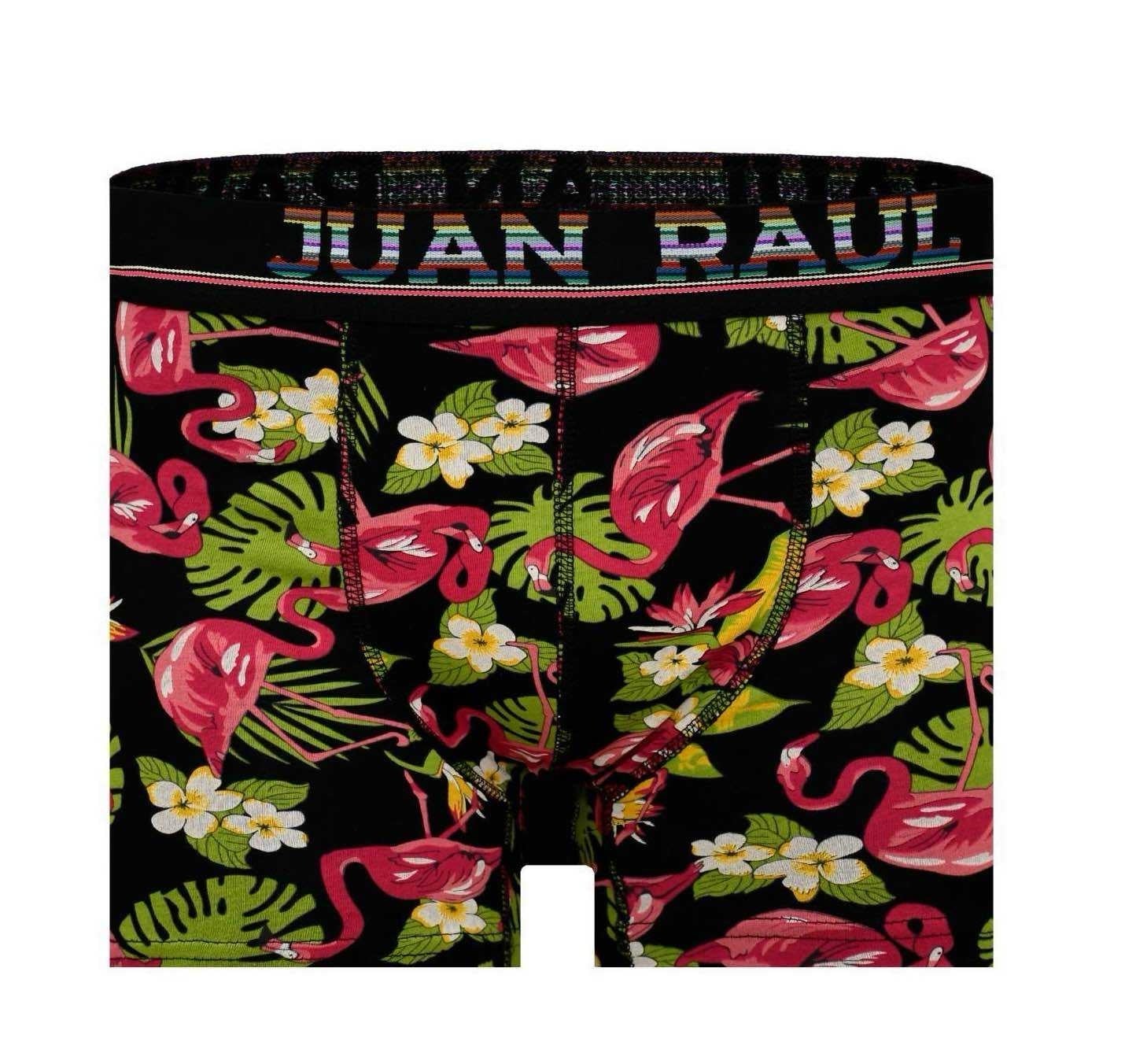 Flamingo Desen Boxer