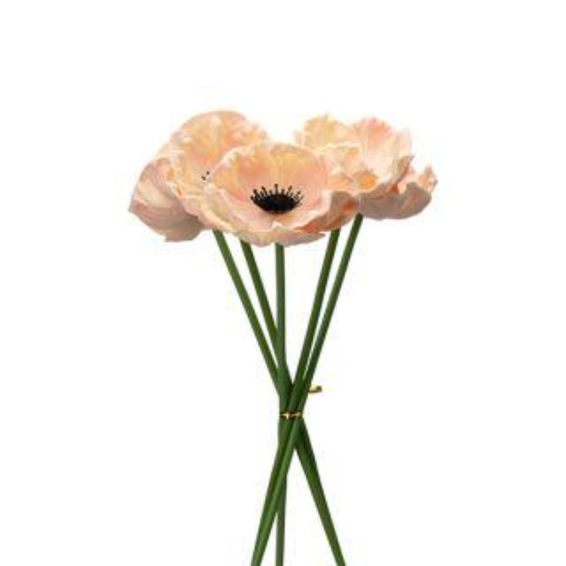 EsthéTi Poppy Bouquet Ø10X30Cm - Açık Pembe