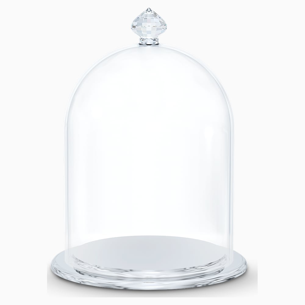 Swarovski SW5553155 Ev Kristali Bell Jar Display, Small