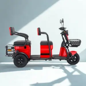 Queen Elektrikli Scooter 024 F3