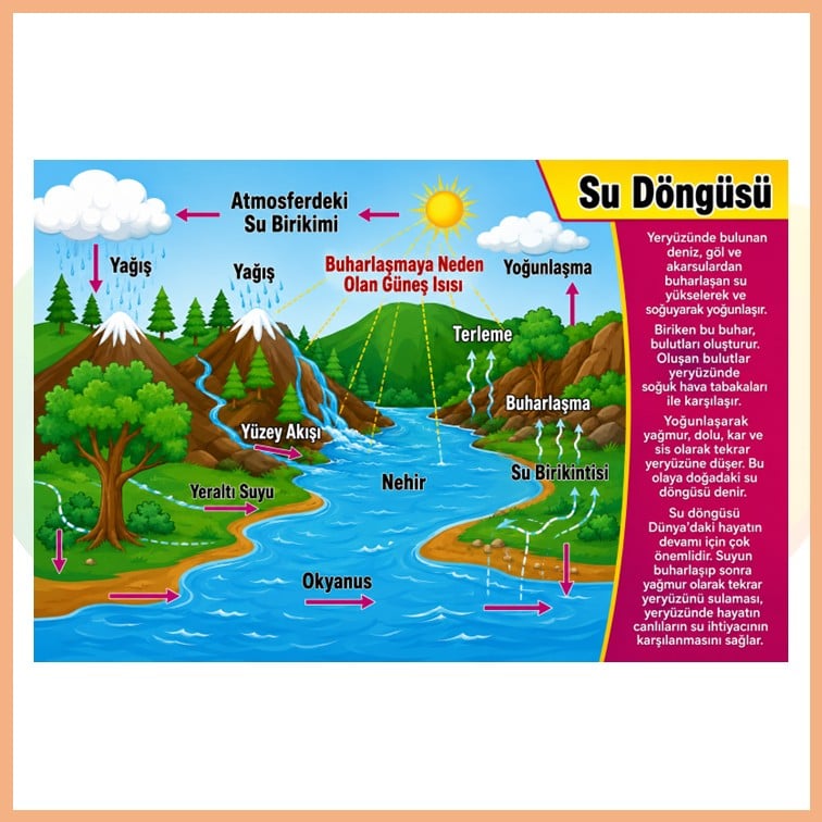 Su Döngüsü Afişi
